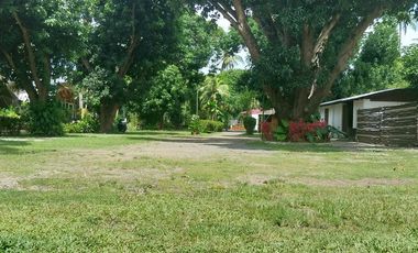 Half Price and so many options