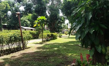 Half Price and so many options