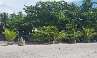 Half Price and so many options