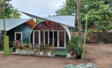 Half Price and so many options