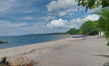 Half Price and so many options