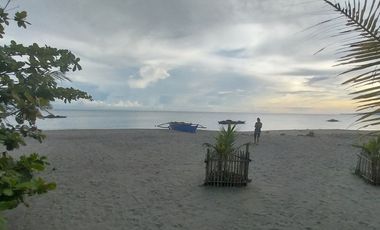 Half Price and so many options