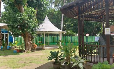 Half Price and so many options