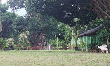 Half Price and so many options