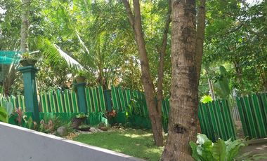 Half Price and so many options