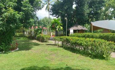 Half Price and so many options