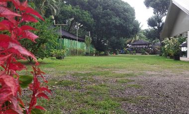 Half Price and so many options