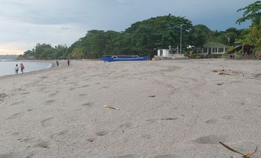 Half Price and so many options