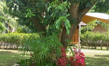 Half Price and so many options