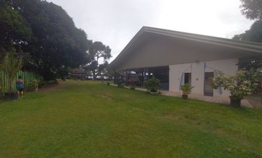 Half Price and so many options