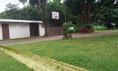 Half Price and so many options