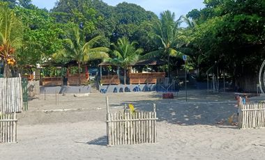 Half Price and so many options