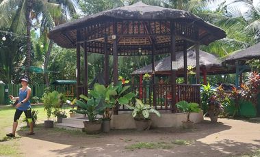 Half Price and so many options