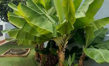 Vendo casa campestre diseño moderno Conjunto  cerrado  ,en la via entre piedecueata y floridablanca.