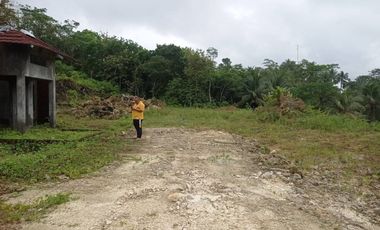 Tanah Dijual di Parigi Pangandaran luas 1 Ha , Tanah Bekas Perumahan