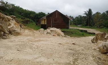 Tanah Dijual di Parigi Pangandaran luas 1 Ha , Tanah Bekas Perumahan