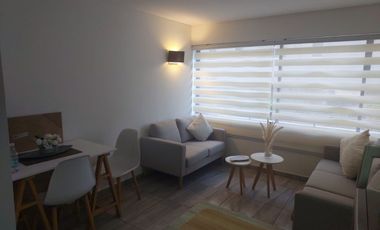 *** Holanda / Las Hortensias ***