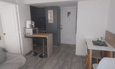 *** Holanda / Las Hortensias ***