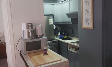 *** Holanda / Las Hortensias ***