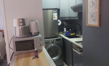 *** Holanda / Las Hortensias ***