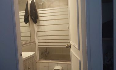 *** Holanda / Las Hortensias ***