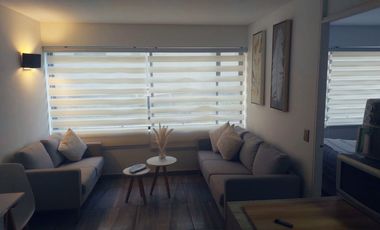 *** Holanda / Las Hortensias ***