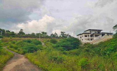 Lot ForSale in Tolo.tolo Consolacion-Cebu near Ateneo Canduman, Talamban Area, 12mins to SM Consolacion 100sqm-600sqm 5yrs to No interest 20% Dp, 12,500-15k per sqm only Few Slots Available