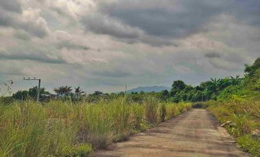 Lot ForSale in Tolo.tolo Consolacion-Cebu near Ateneo Canduman, Talamban Area, 12mins to SM Consolacion 100sqm-600sqm 5yrs to No interest 20% Dp, 12,500-15k per sqm only Few Slots Available