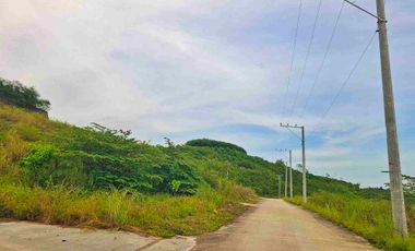 Lot ForSale in Tolo.tolo Consolacion-Cebu near Ateneo Canduman, Talamban Area, 12mins to SM Consolacion 100sqm-600sqm 5yrs to No interest 20% Dp, 12,500-15k per sqm only Few Slots Available