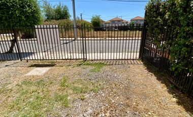 Profesora Norma Araos 1401