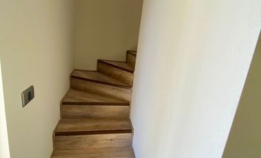 Profesora Norma Araos 1401