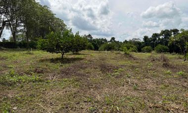 HERMOSO TERRENO RURAL