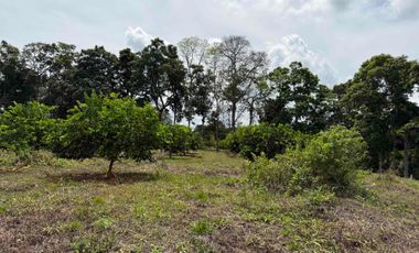 HERMOSO TERRENO RURAL