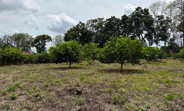 HERMOSO TERRENO RURAL