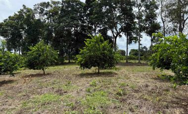 HERMOSO TERRENO RURAL