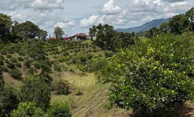 HERMOSO TERRENO RURAL