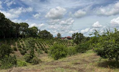 HERMOSO TERRENO RURAL