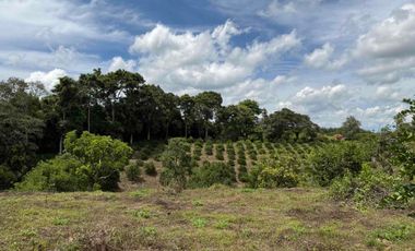HERMOSO TERRENO RURAL