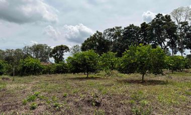 HERMOSO TERRENO RURAL