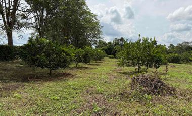 HERMOSO TERRENO RURAL
