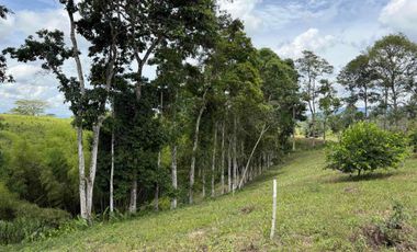 HERMOSO TERRENO RURAL