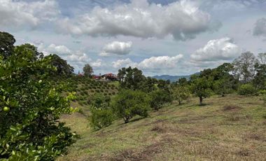 HERMOSO TERRENO RURAL