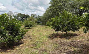 HERMOSO TERRENO RURAL