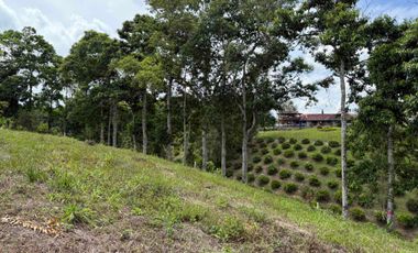 HERMOSO TERRENO RURAL