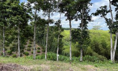 HERMOSO TERRENO RURAL