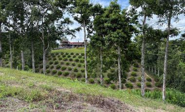 HERMOSO TERRENO RURAL