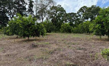HERMOSO TERRENO RURAL