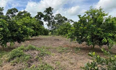 HERMOSO TERRENO RURAL