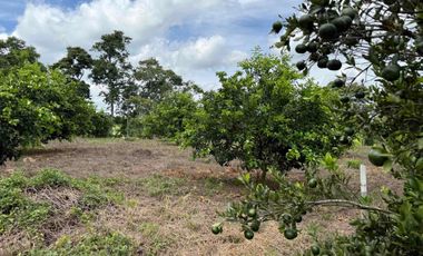 HERMOSO TERRENO RURAL