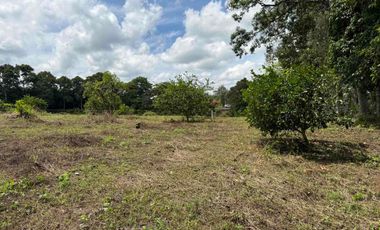 HERMOSO TERRENO RURAL